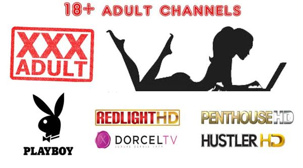 honey bee iptv